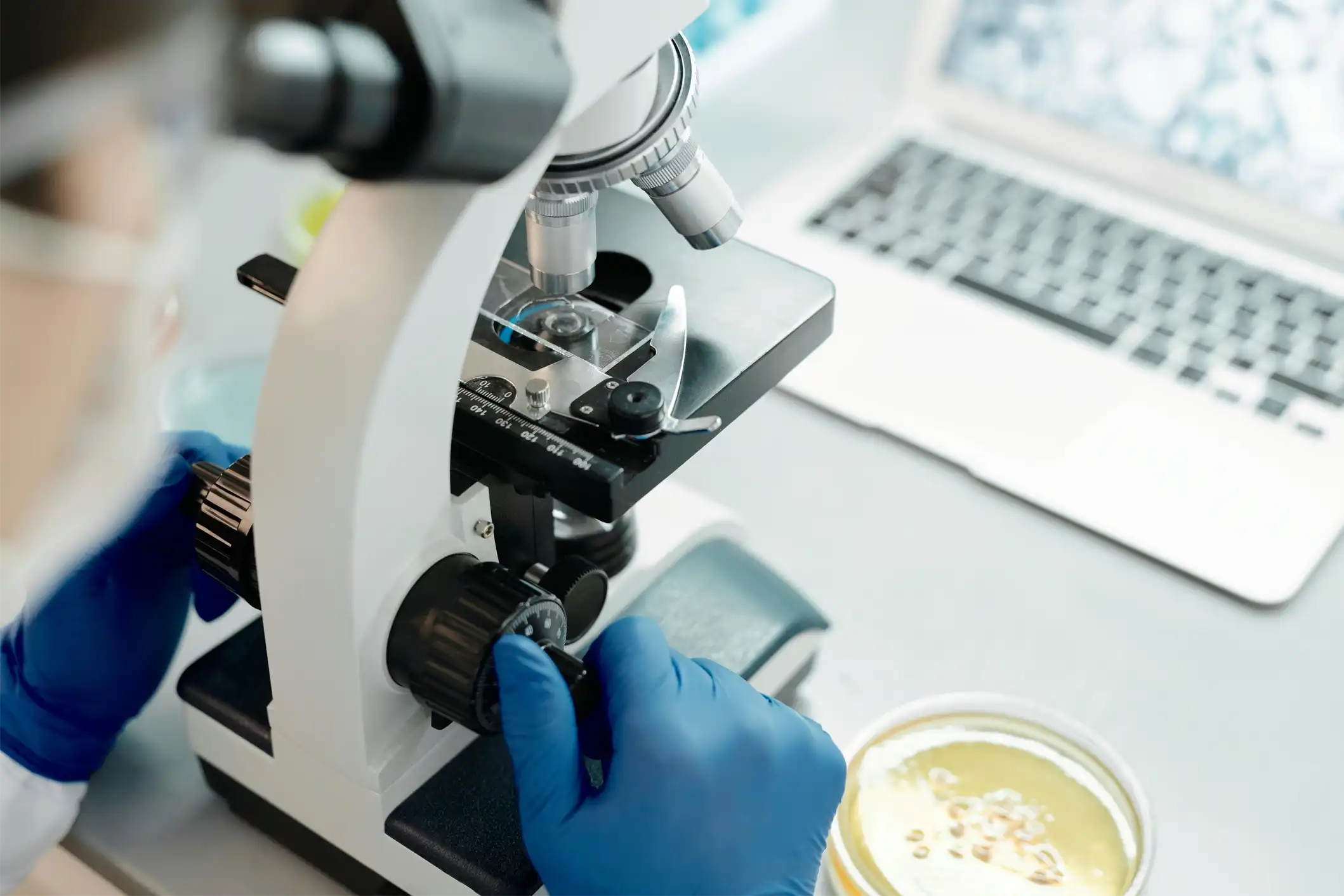 microbiome modulation in ear care